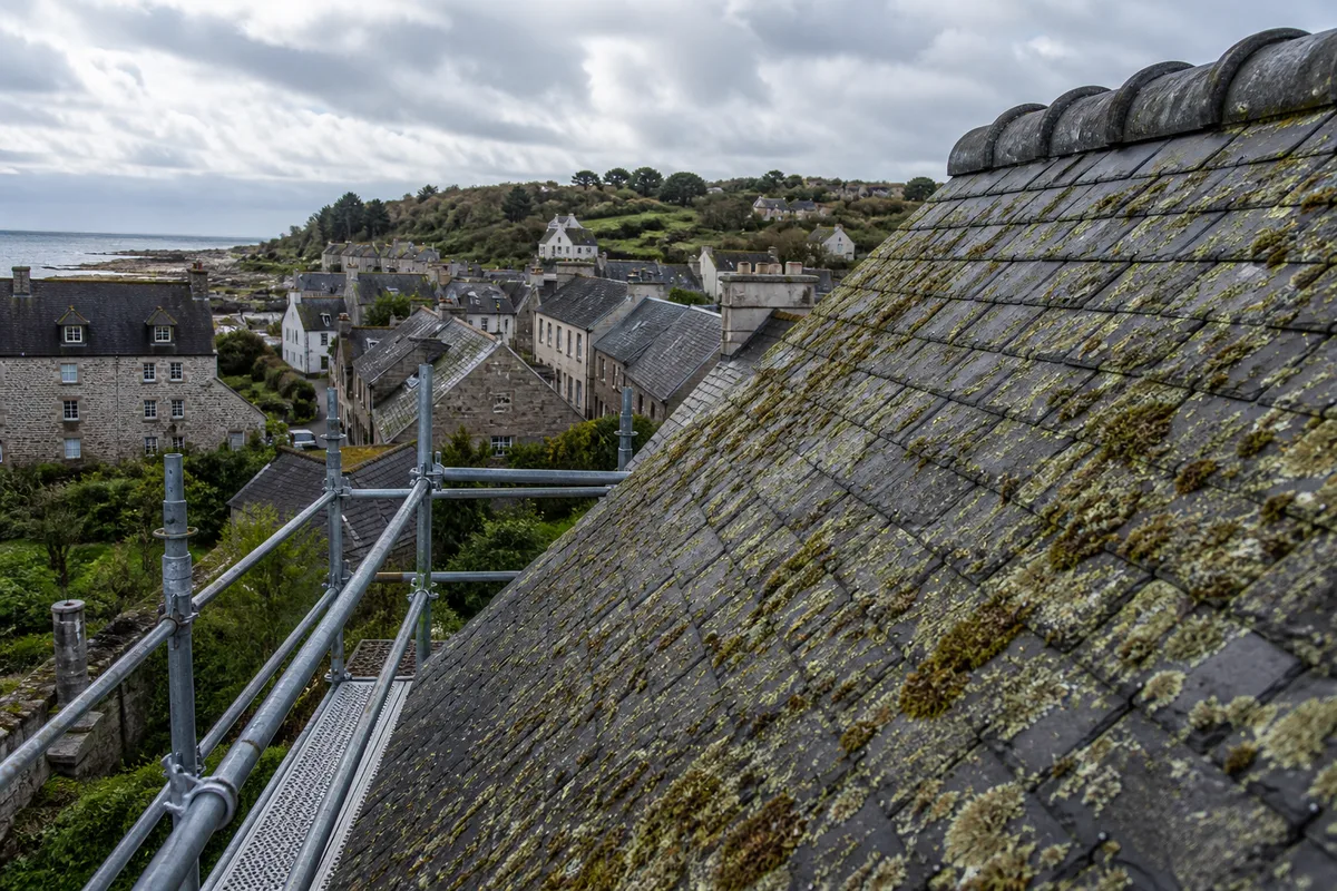 Versant de toiture en ardoise partiellement recouvert de mousses et de lichens